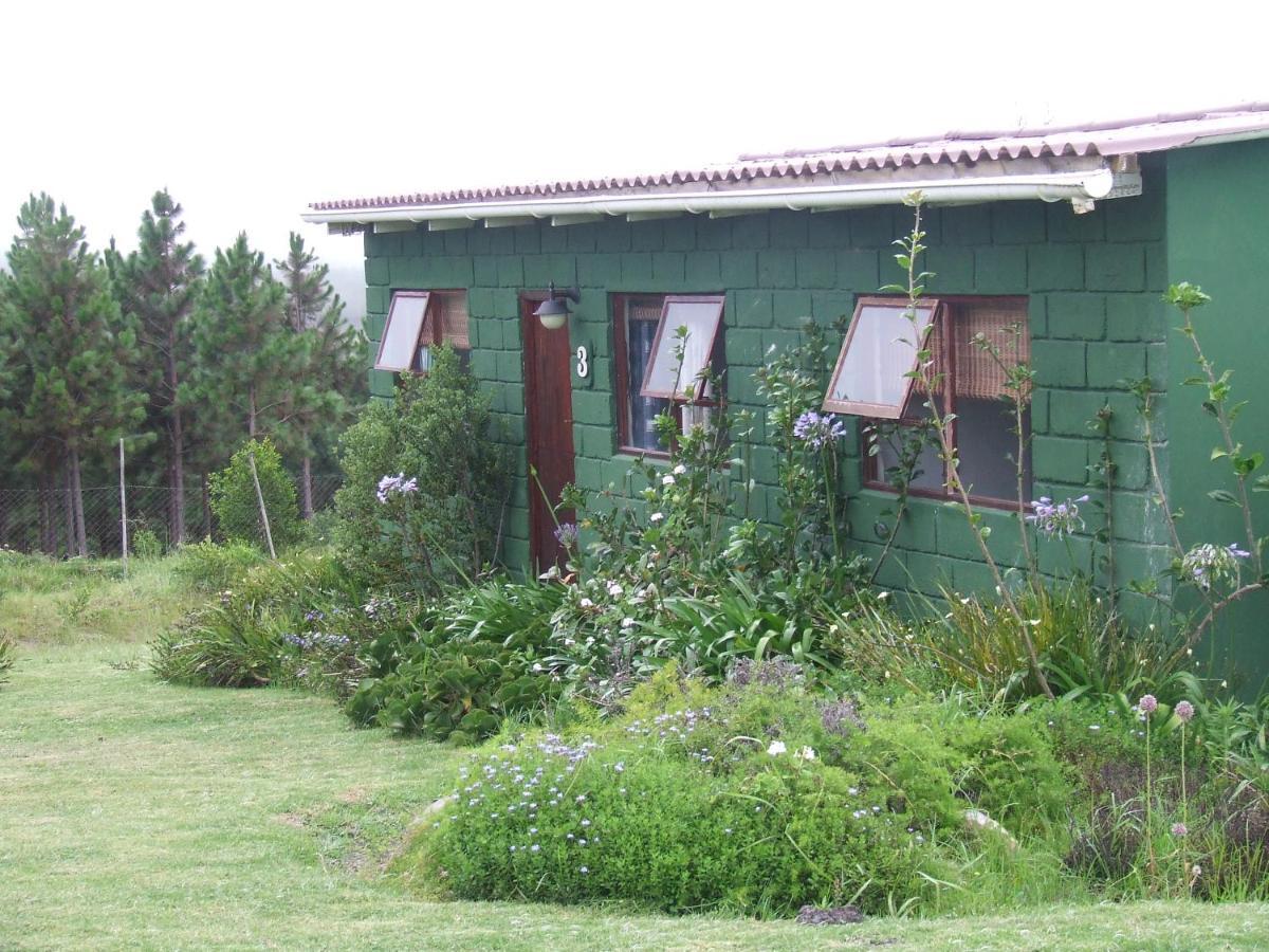 Tsitsikamma On Sea Hotel Stormsrivier Exterior foto